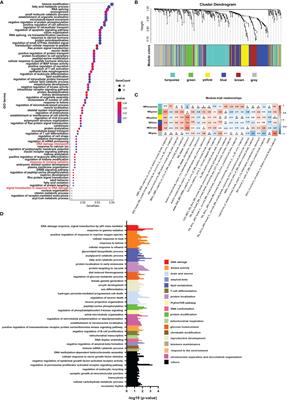 Reduction of H3K27cr Modification During DNA Damage in Colon Cancer